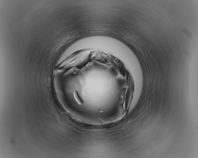 X0000113530595200910091224