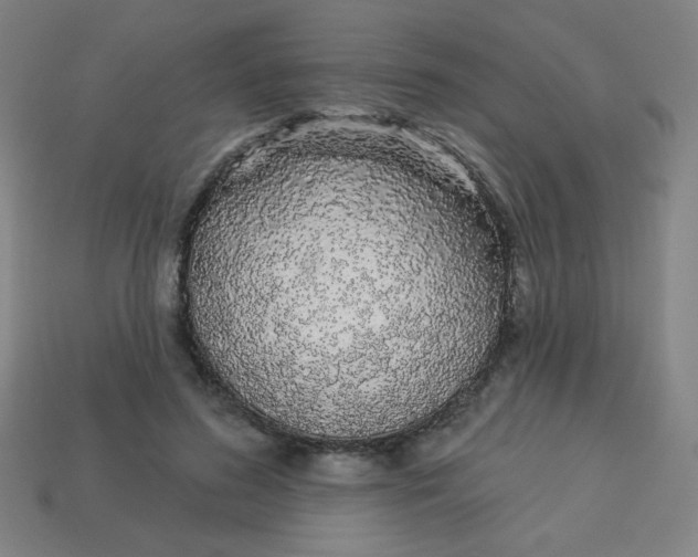 X0000113530596200910091224