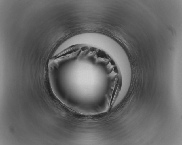 X0000113530597200910091224