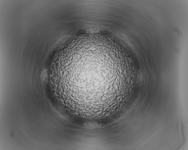 X0000113530598200910091224