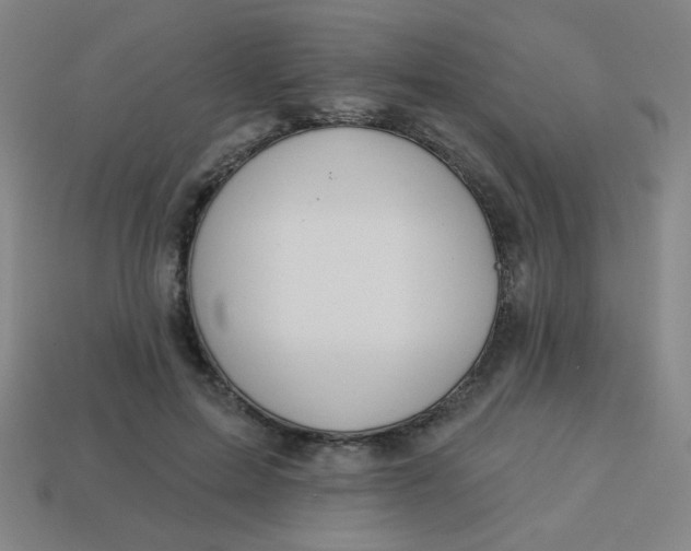 X0000113530599200910091224