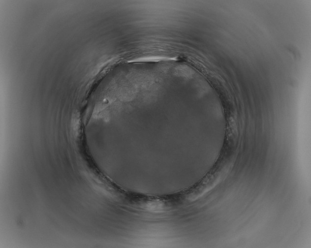 X0000113530600200910091224