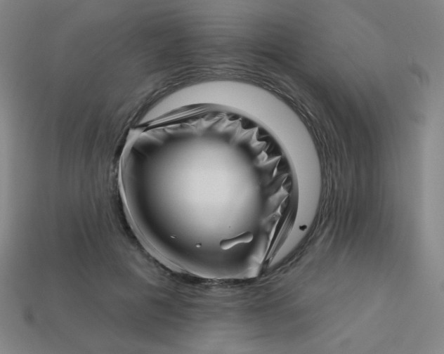 X0000113530601200910091224