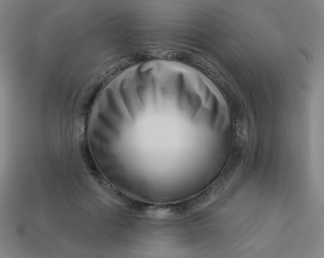 X0000113530602200910091224