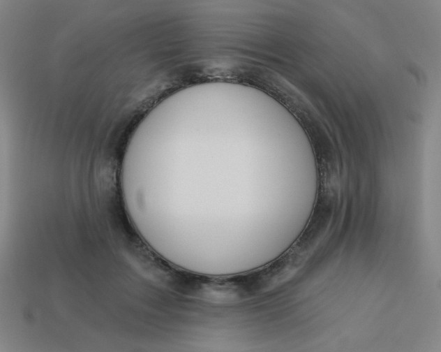 X0000113530603200910091224