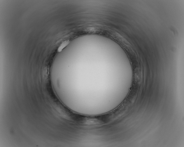 X0000113530605200910091224