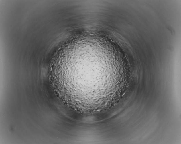 X0000113530610200910091224