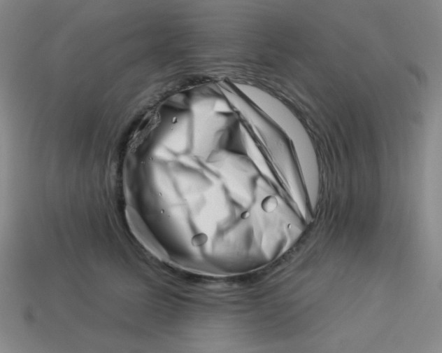 X0000113530611200910091224