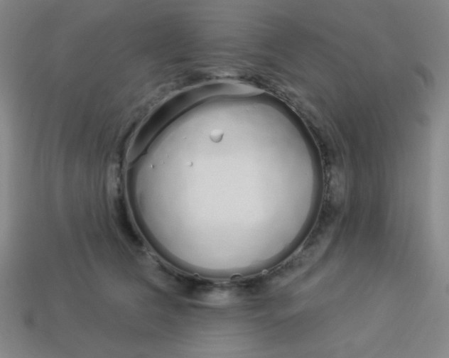 X0000113530612200910091224