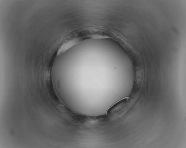 X0000113530613200910091224