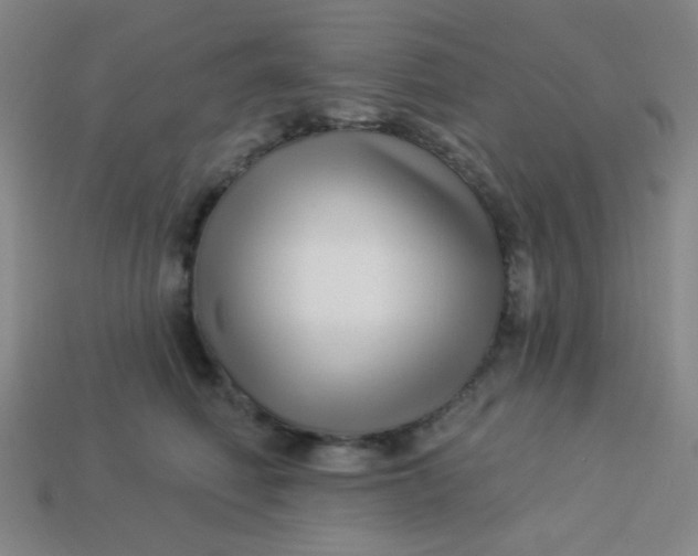 X0000113530614200910091224