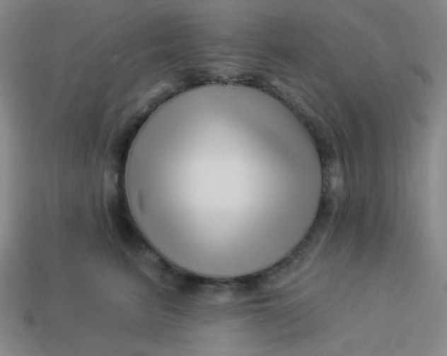 X0000113530615200910091224