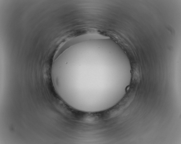 X0000113530616200910091224