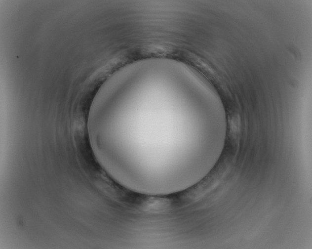 X0000113530617200910091224