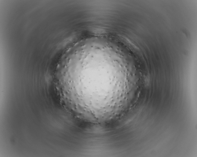 X0000113530618200910091224