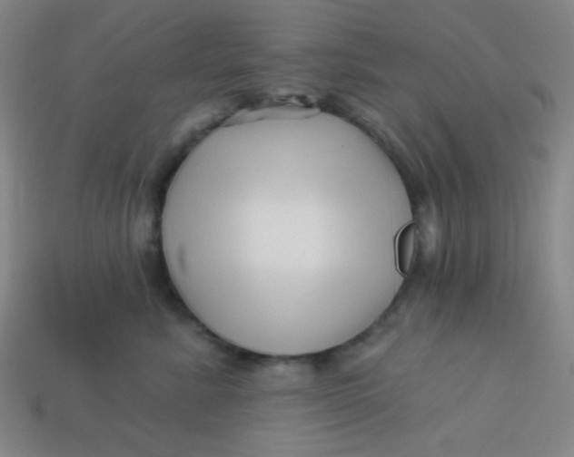 X0000113530619200910091224