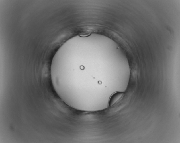 X0000113530620200910091224