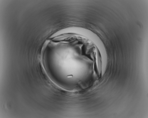 X0000113530621200910091224