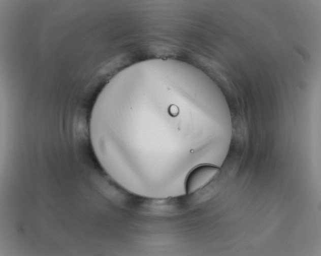 X0000113530622200910091224