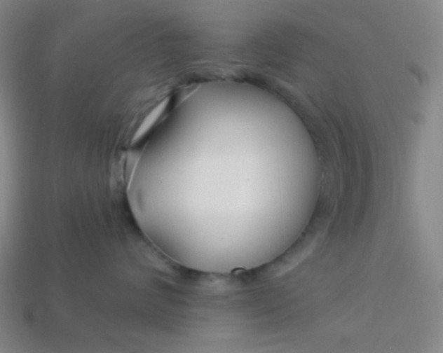 X0000113530624200910091224