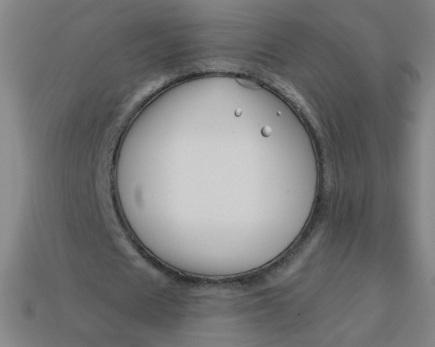 X0000113530625200910091223