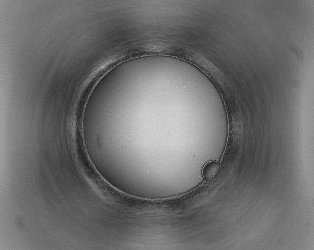 X0000113530626200910091223