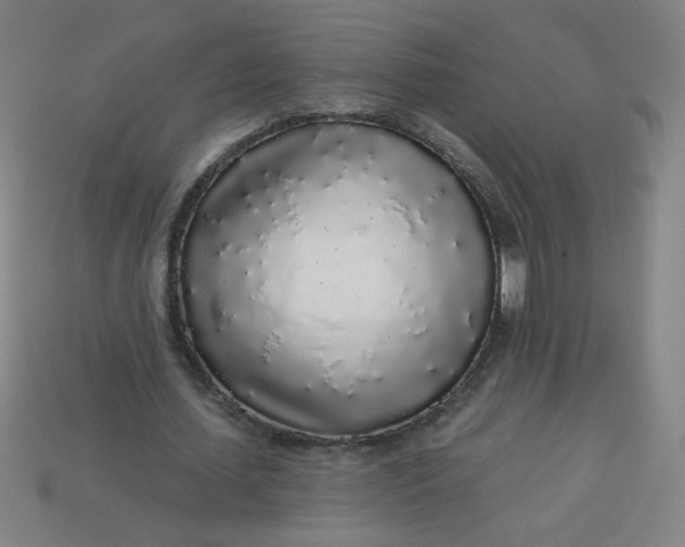 X0000113530627200910091223