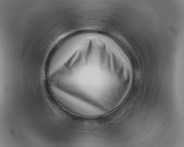 X0000113530628200910091223