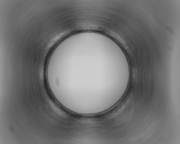 X0000113530629200910091224