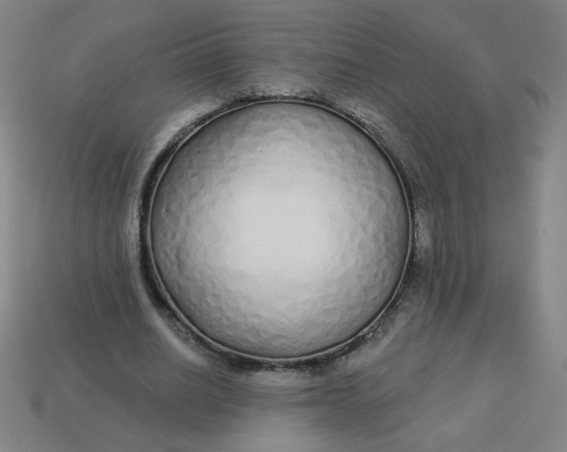 X0000113530630200910091224