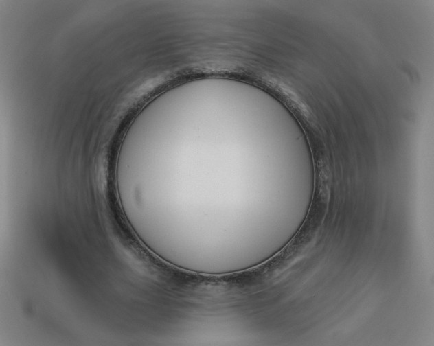 X0000113530631200910091224