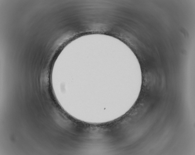 X0000113530632200910091224