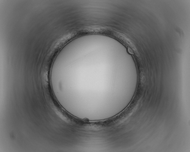 X0000113530633200910091224