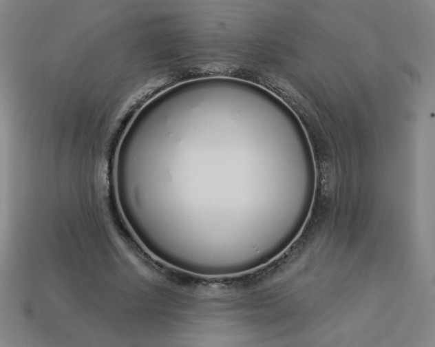 X0000113530634200910091224