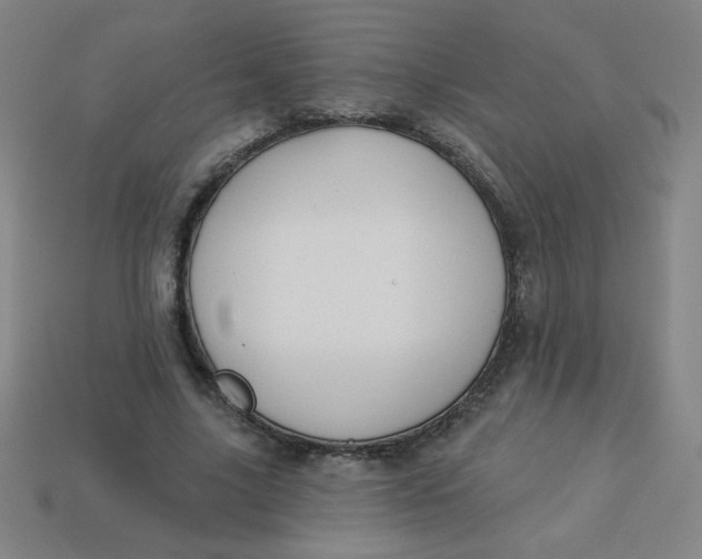 X0000113530635200910091224