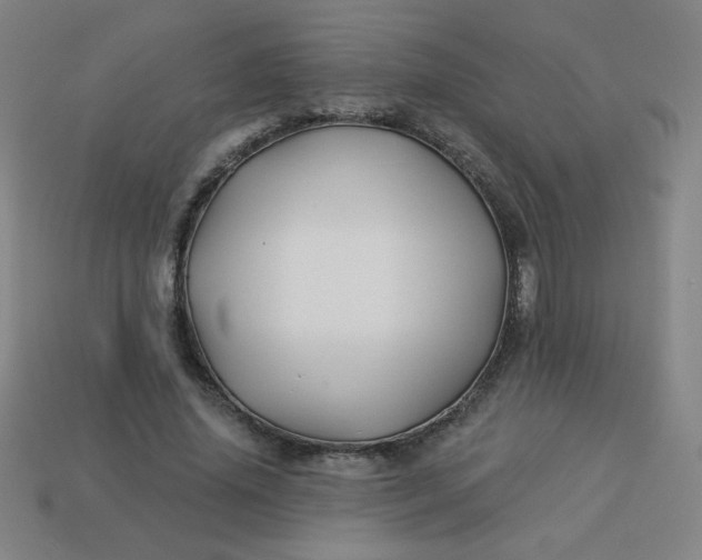 X0000113530636200910091224