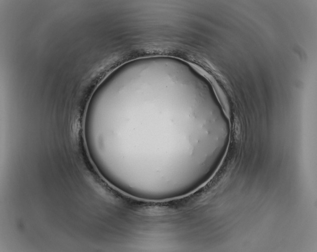 X0000113530637200910091224