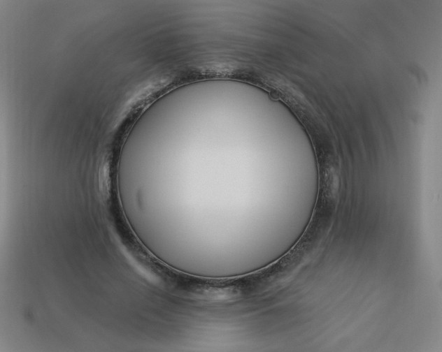 X0000113530638200910091224