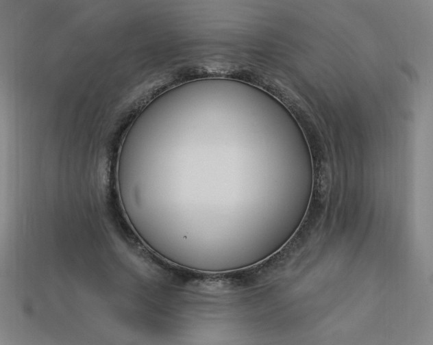 X0000113530639200910091224