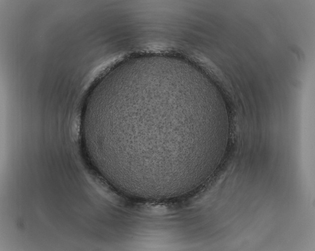 X0000113530640200910091224