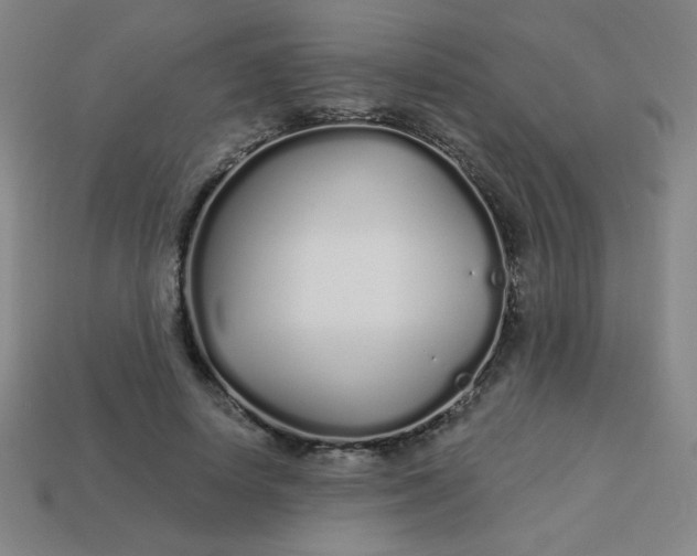 X0000113530642200910091224