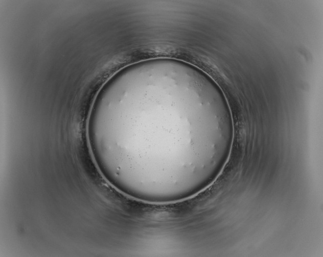 X0000113530643200910091224