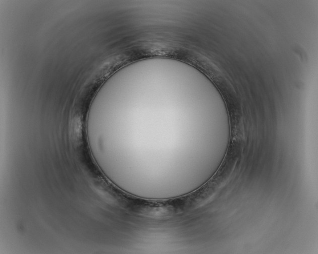 X0000113530646200910091224