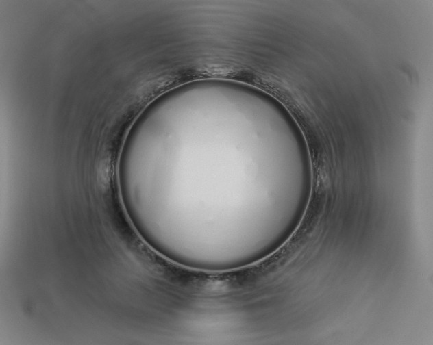 X0000113530647200910091224