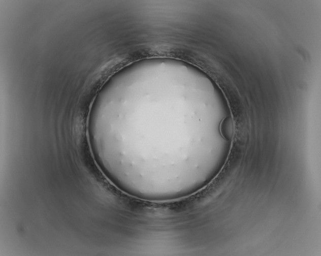 X0000113530648200910091224