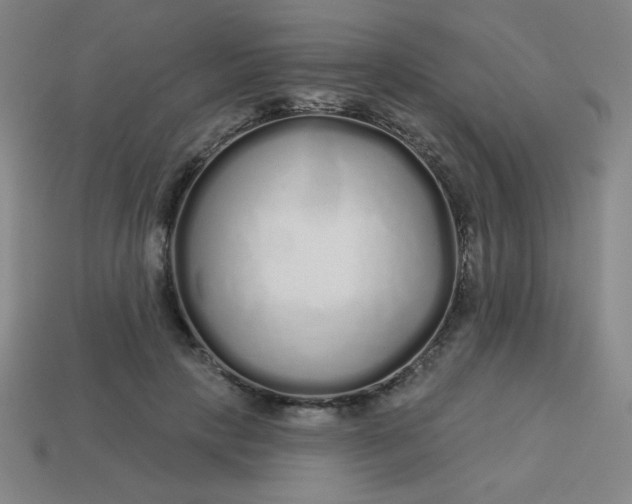 X0000113530649200910091224