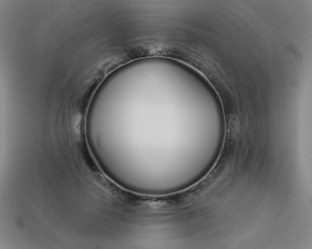 X0000113530650200910091224