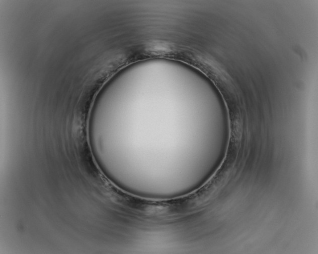 X0000113530653200910091224