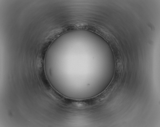 X0000113530654200910091224