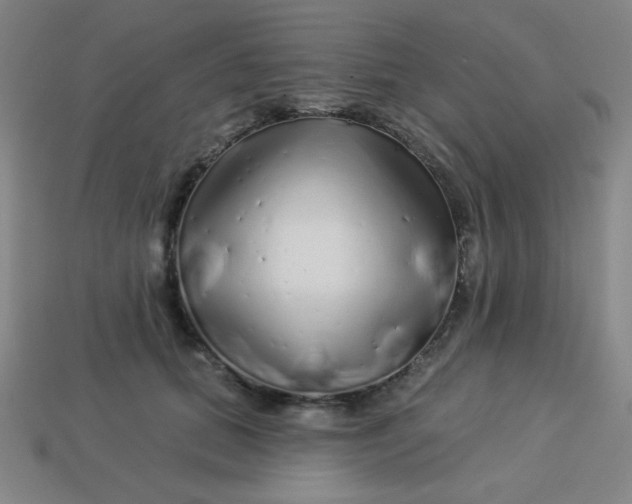 X0000113530655200910091224